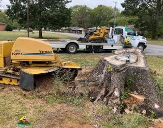 Image of Stump Eater Tree Service