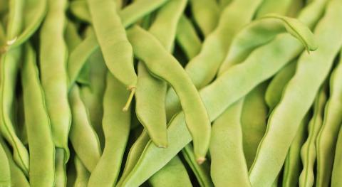 Afbeelding van Biefit Gezondheidswinkel V.O.F.