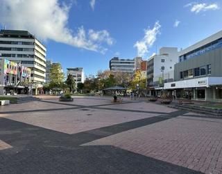 Image of Beca