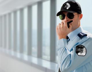 Task Force Security look like