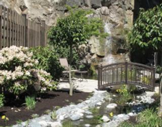 Image of Eucalyptus Tree Service Landscaping & Design