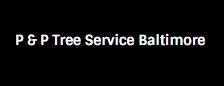 P & P Tree Service Baltimore