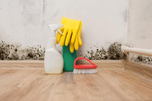 Image of Ashburn Mold Removal Pros
