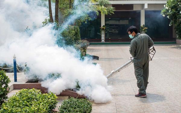 Image of Plano Pest Control Experts