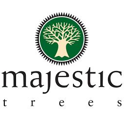 Image of Majestic Trees