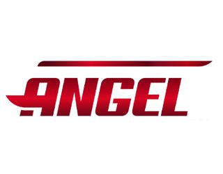 Image of Angel Recovery