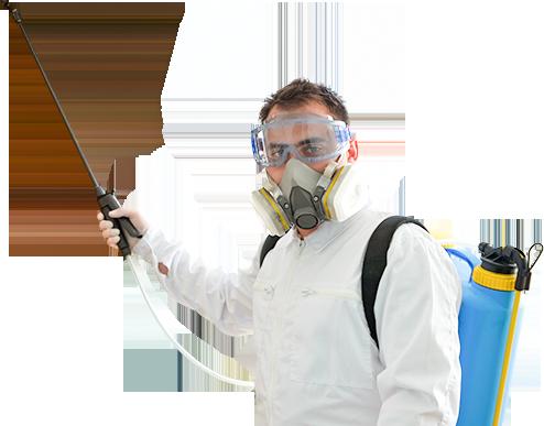 Afbeelding van Pest Control Midrand