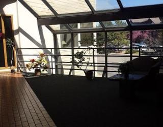 Image of Aloha Insurance
