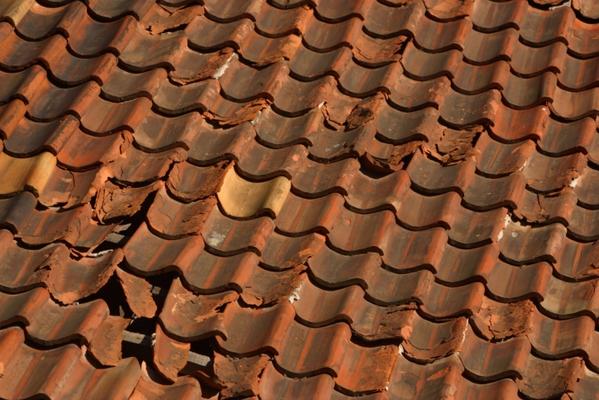 Roofing Service