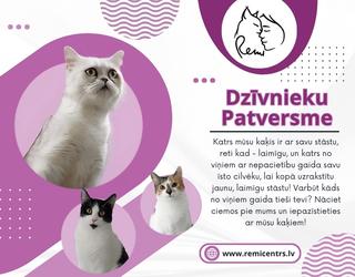 Dzīvnieku Patversme