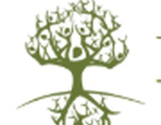 Imagem de Iboga Tree Healing House