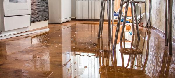 Image of Storm Damage NY