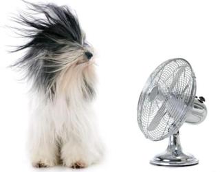 Image of Quigley Heating & Air Conditioning
