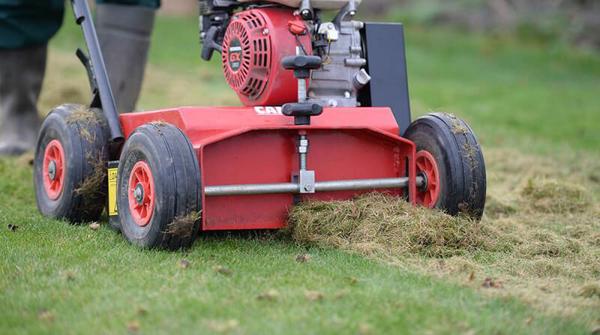 Image of Expert Lawn