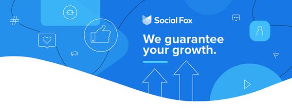 Image of Social Fox