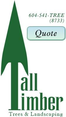 Image de Tall Timber Tree Services Ltd.