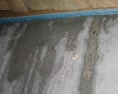Image of Repel Restoration Inc
