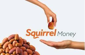Image of Squirrel Money
