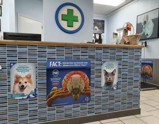 Image de Front Street Animal Hospital