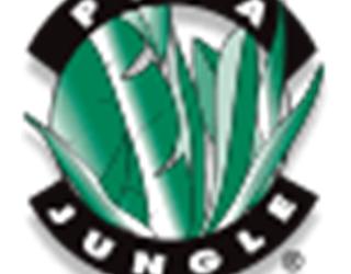 Image of Pita Jungle