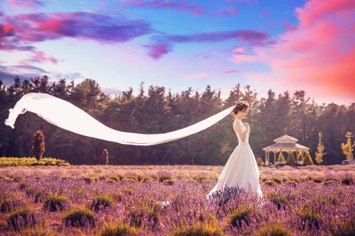 Image of Focus Wedding Photography and Videography