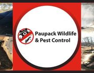 Image of Paupack Wildlife Control