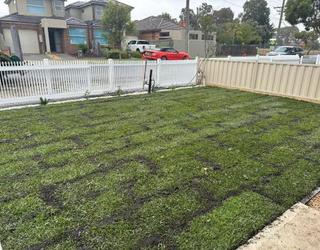 Image of Lilydale Instant Lawn ⠀