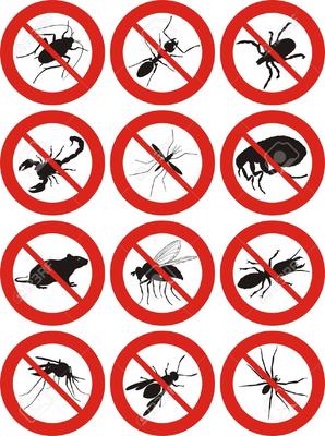 Image of Pest Control Watford
