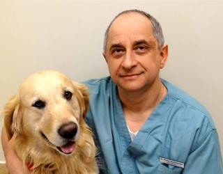 Image de Tower Hill-Bathurst Animal Hospital
