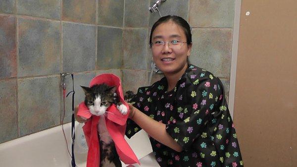 Image of WM Pet Services & Boutique