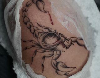 Image de Colibri Tattoo and Piercing (High Park)