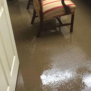 Water Damage Carpet Cleaning Melbourne