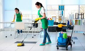 Image of Carpet Cleaning Brighton