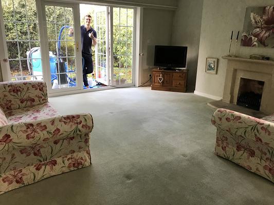 Image of Acorn Carpet Cleaning