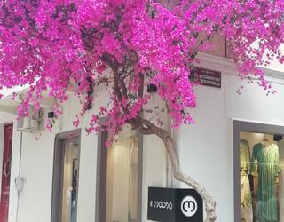 Εικόνα από Isabella's Travels