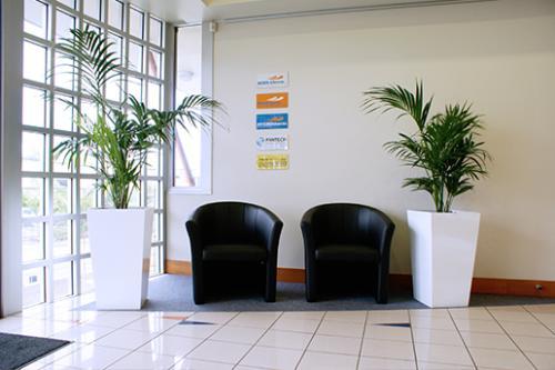 Image of Prestigious Plantscapes