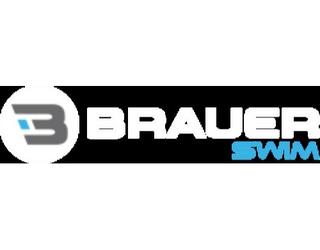 Image of Brauer Swim