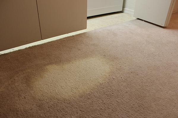 Image of Creative Carpet Repair Santa Ana