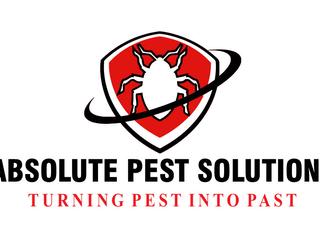 Image de Absolute Pest Solutions