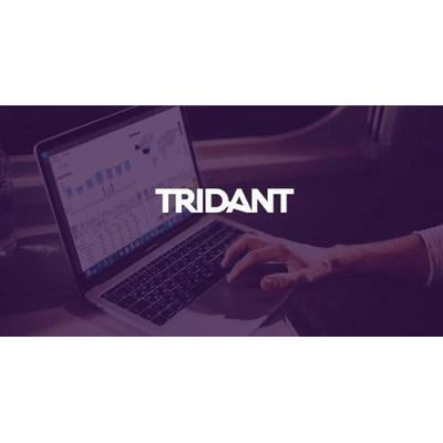 Image of Tridant Pty Ltd