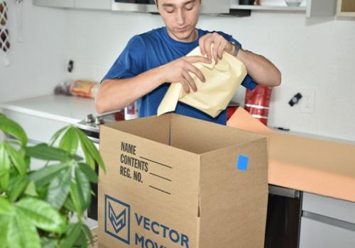 Image of Vector Moving