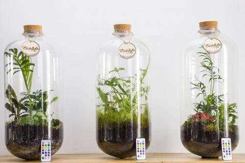 Afbeelding van Ecolifetube