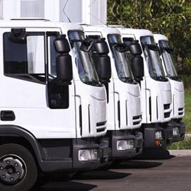 Afbeelding van Movit Mobility