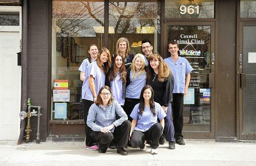 Image of Coxwell Animal Clinic