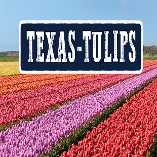 Image of Texas-Tulips, LLC