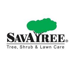 Image of SavATree - Tree Service & Lawn Care