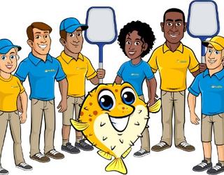 Image of Puddle Pool Services