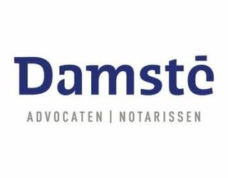 Afbeelding van Damsté