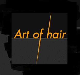 Billede af Art of Hair