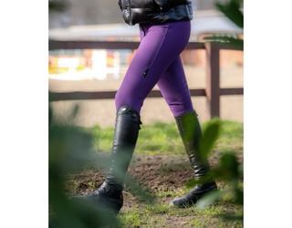 Image of Royal Equestrian